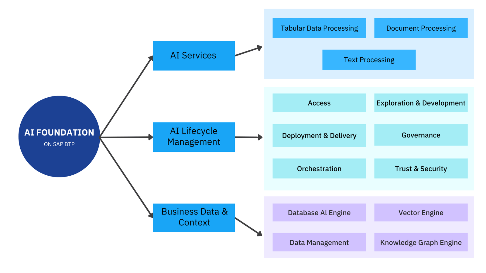 SAP AI Foundation. AI Services, SAP AI Lifecycle management, explaining difference components in SAP AI Foundtation on SAP BTP.